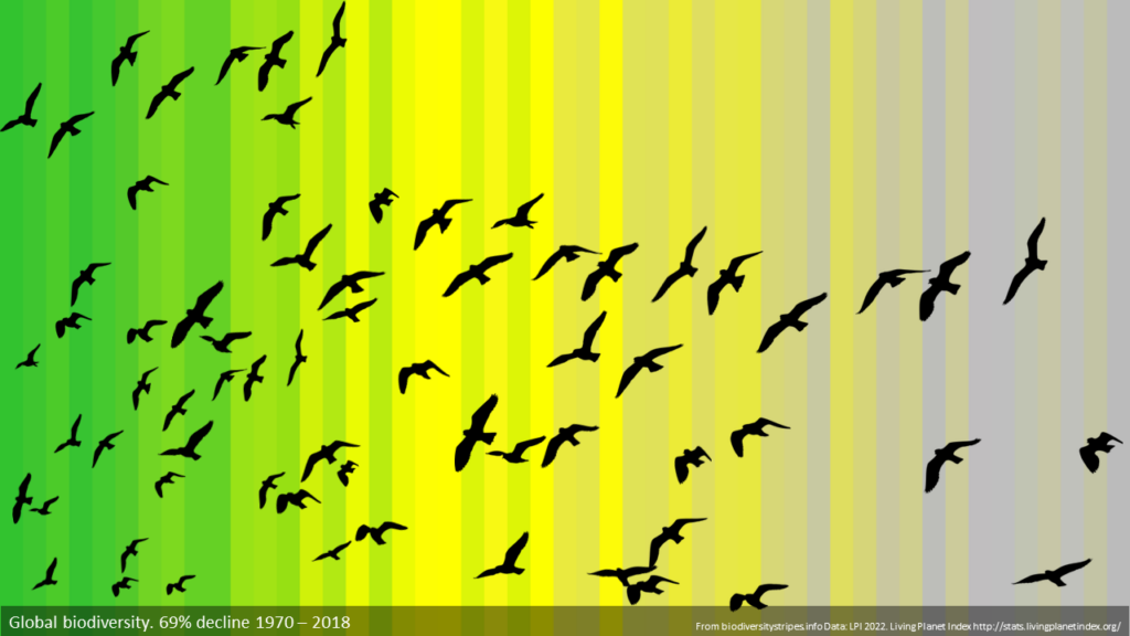generation-ecologie-global-bio-stripes-with-birds_orig