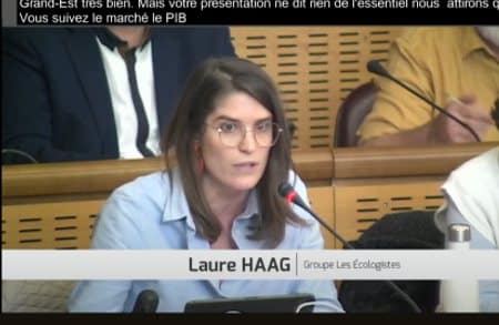 Laure Haag dénonce les investissements étrangers