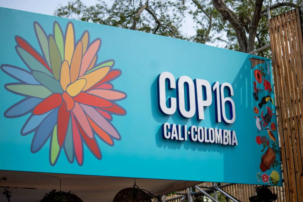 COP16 Cali