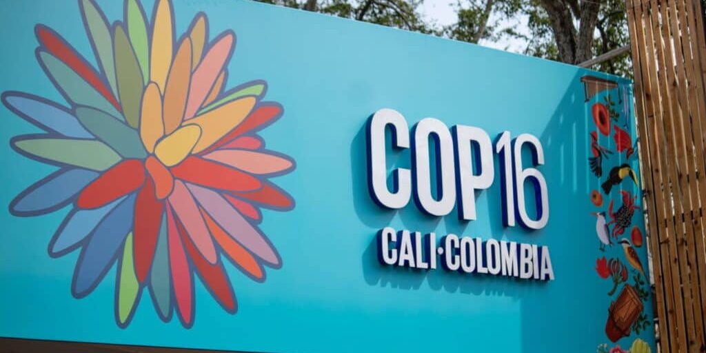 COP16 Cali